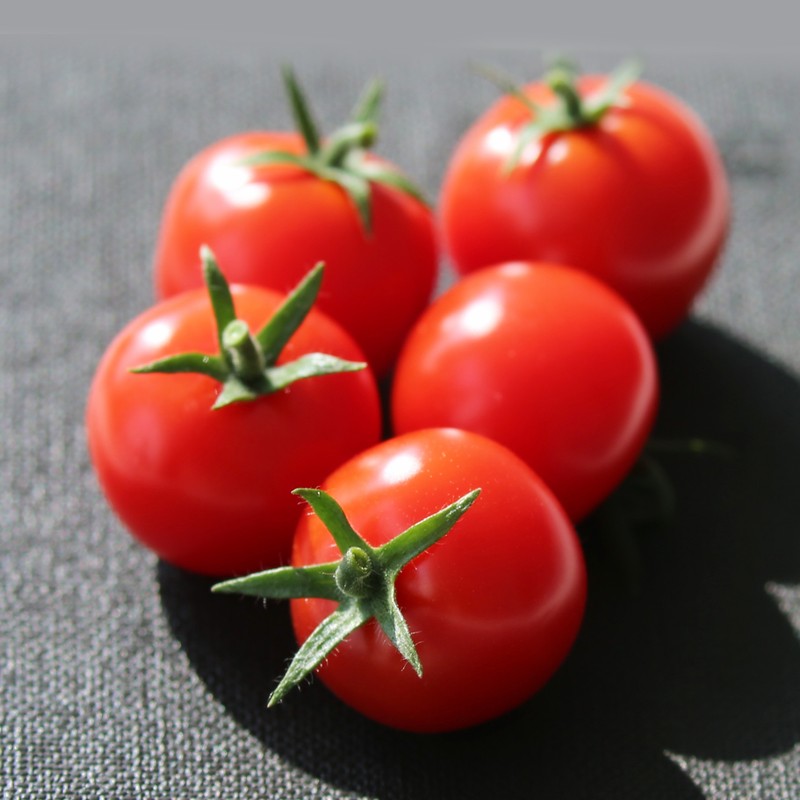 J9旗舰厅(集团)·官方网站 -APPSTORE