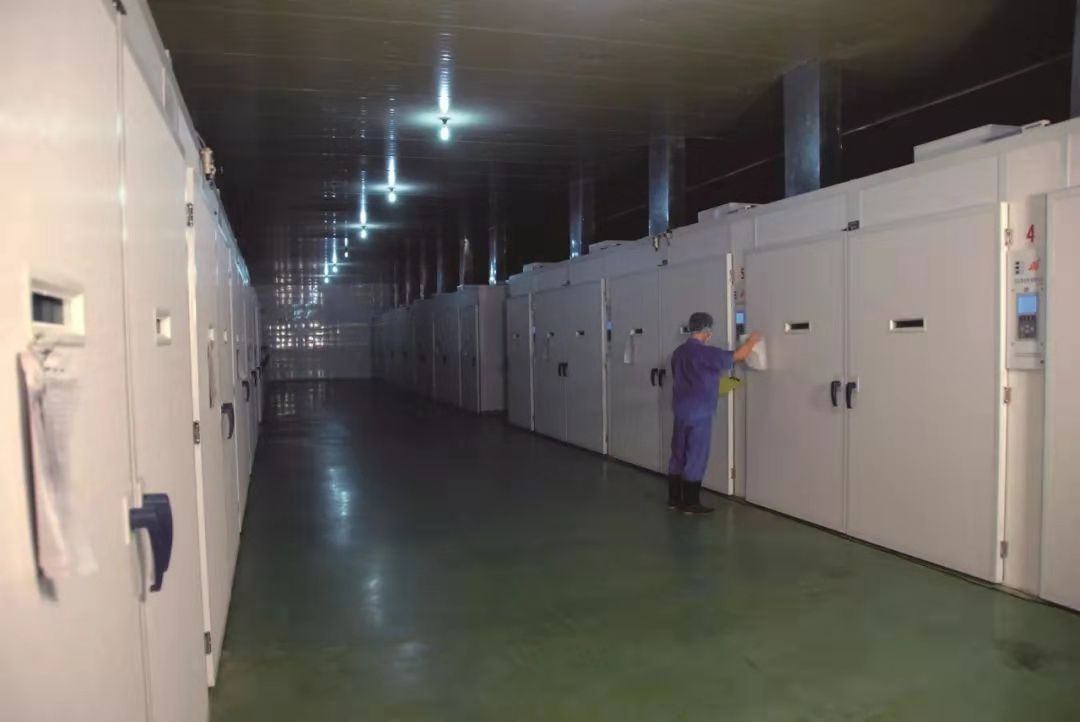 J9旗舰厅(集团)·官方网站 -APPSTORE