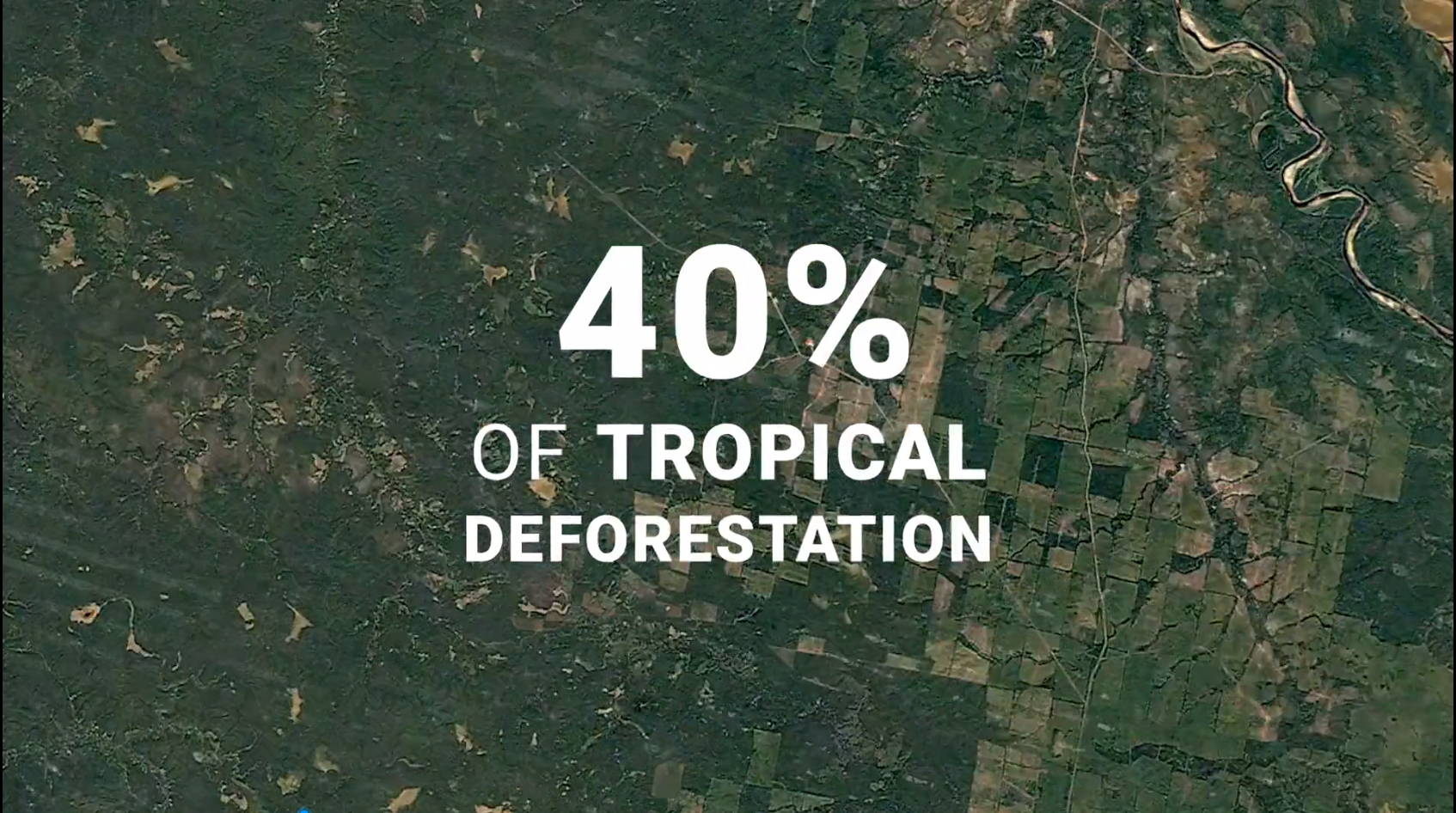 J9旗舰厅(集团)·官方网站 -APPSTORE