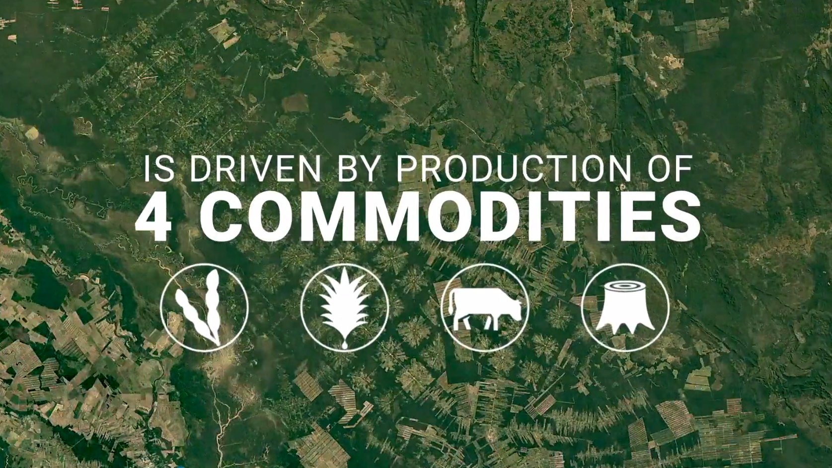 J9旗舰厅(集团)·官方网站 -APPSTORE