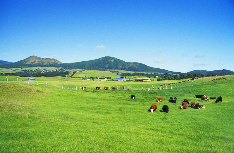 J9旗舰厅(集团)·官方网站 -APPSTORE