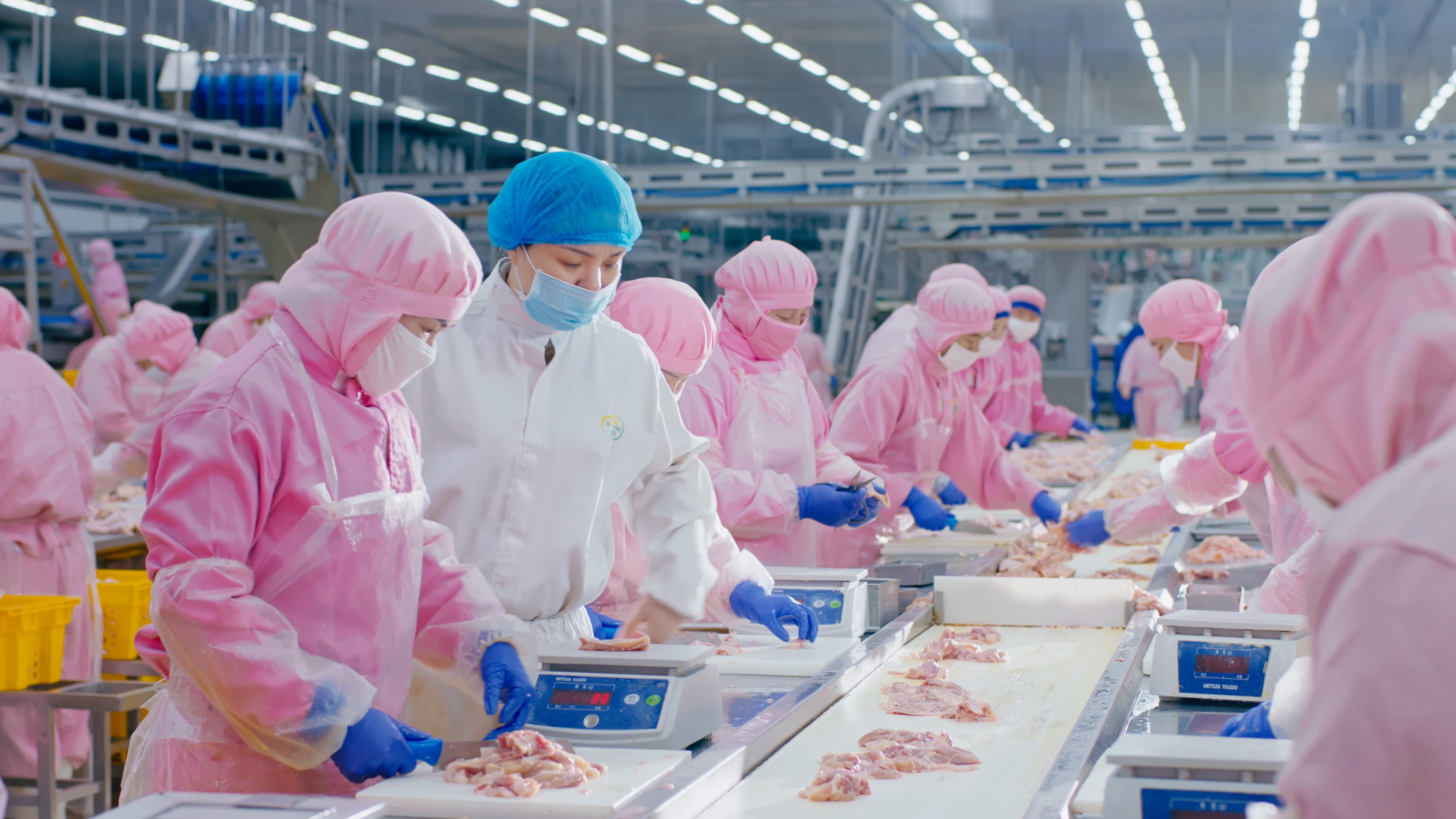 以人为本，，，，，携手员工配合生长